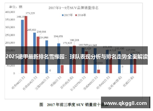 2025德甲最新排名雪缘园：球队表现分析与排名走势全面解读